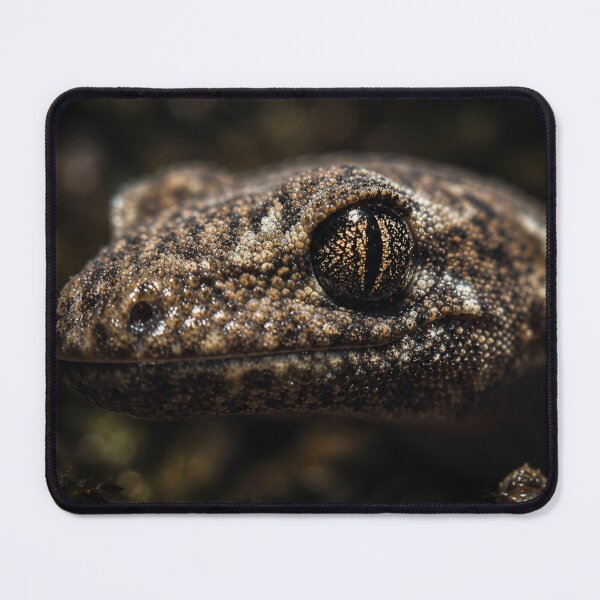 Item preview, Baby New Zealand Brown Gecko in Moonlit Forest | Cinematic Native Wildlife designed and sold by NocturnalNook.