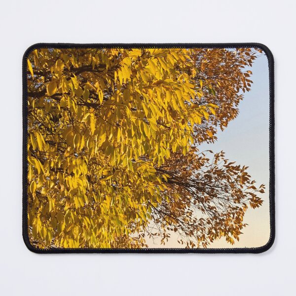 Item preview, Autumn Colors Along the Tokyo Riverside designed and sold by JapanStudio123.
