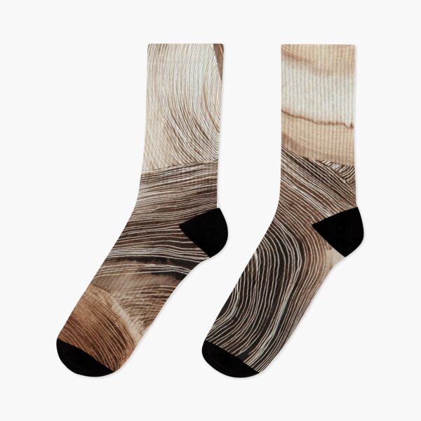 Aperçu de l'œuvre Art abstrait représentant des anneaux de grain de bois organique beige et brun sur une dalle d'arbre créée et vendue par LYAN-STORE.