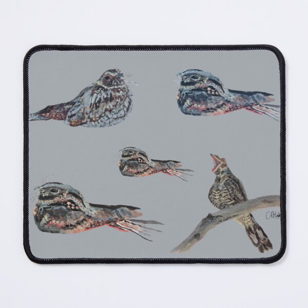 Item preview, Nightjar Print: Acrylic Painted designed and sold by Charlotte's Shop of Bird Stuff.