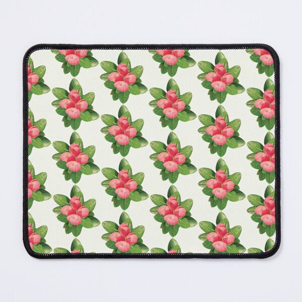 Item preview, Pink Crown of Thorns Botanical Illustration designed and sold by hutofdesigns.
