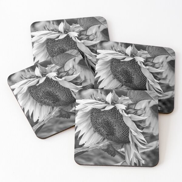 Item preview, Sunflower BW designed and sold by MoePhotography.