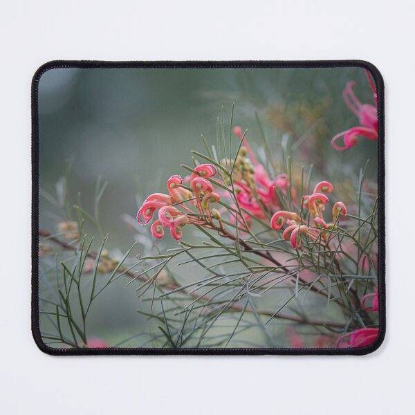 Item preview, Grevillea johnsonii (Spider Blossom) Macro – Fine Art Photography Print designed and sold by MinzMarchStudio.