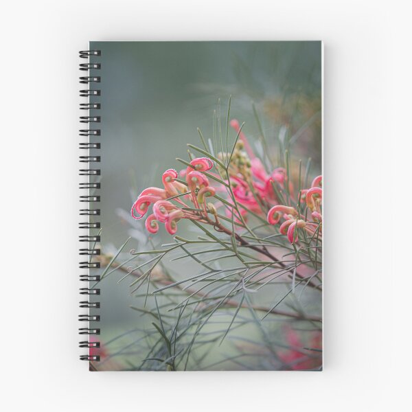 Item preview, Grevillea johnsonii (Spider Blossom) Macro – Fine Art Canvas Print designed and sold by MinzMarchStudio.