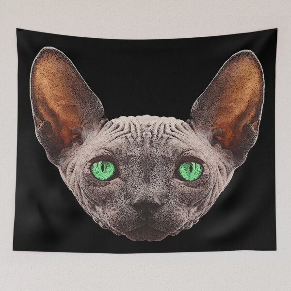 Item preview, naked cat, sphynx cat, animal photos for women designed and sold by Kirei-Lily.