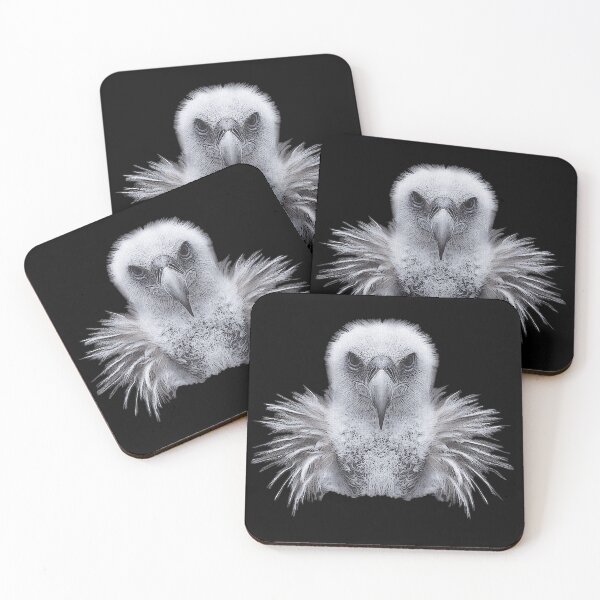 Item preview, griffon vulture head, raptorial bird, bird motifs for men designed and sold by Kirei-Lily.