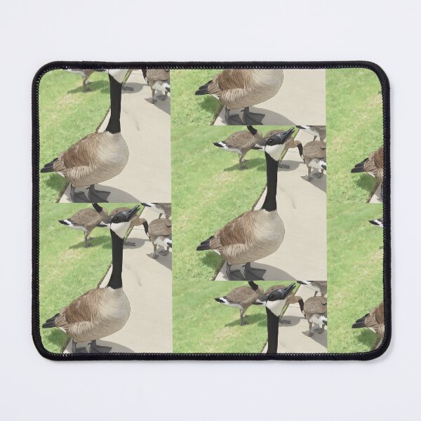 Item preview, Canada Geese Flock Fine Art Print designed and sold by KaleChub.