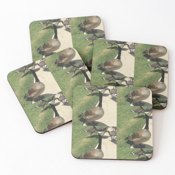 Item preview, Canada Geese Flock Real Photo Print designed and sold by KaleChub.