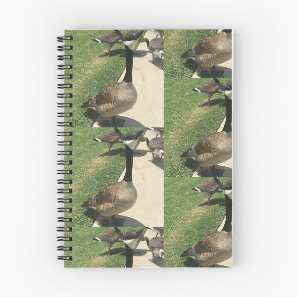 Item preview, Canada Geese Flock Real Photo Print designed and sold by KaleChub.