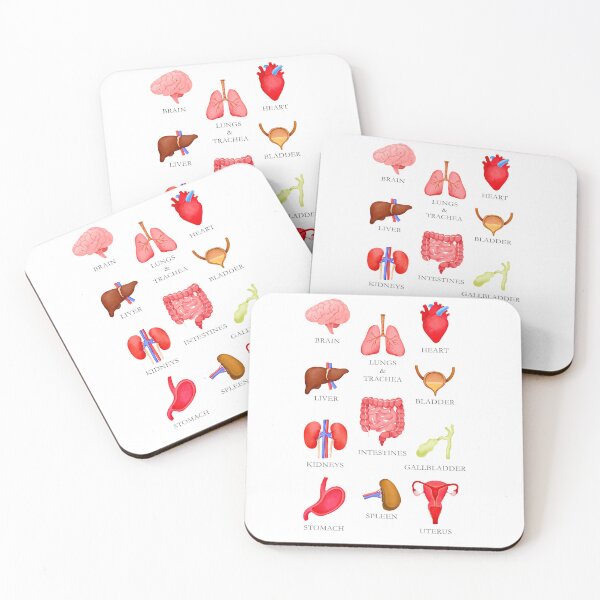 Item preview, Human Internal Organs Educational Illustration Set designed and sold by the-myro.