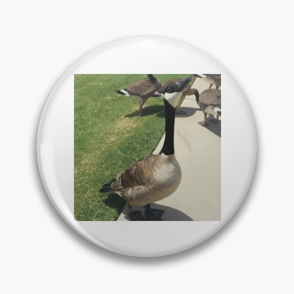 Item preview, Canada Geese Flock Fine Art Print designed and sold by KaleChub.