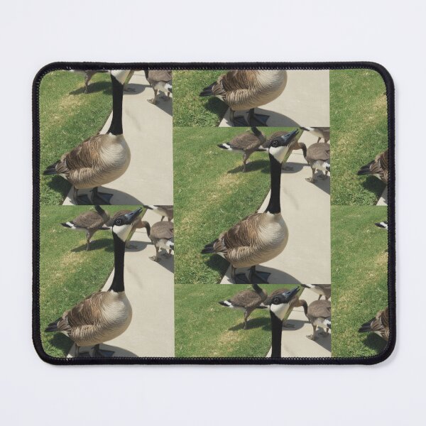 Item preview, Canada Geese Flock Fine Art Print designed and sold by KaleChub.