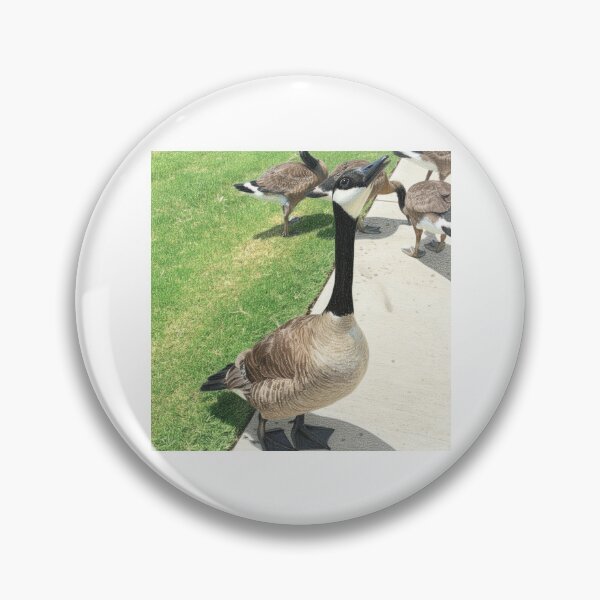 Item preview, Canada Geese Colored Pencil Art Print designed and sold by KaleChub.