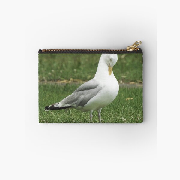 Item preview, American Herring Gull Preening designed and sold by HematiteDesign.