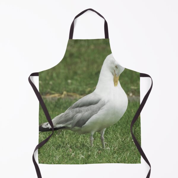Item preview, American Herring Gull Preening designed and sold by HematiteDesign.