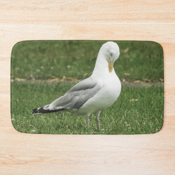 Item preview, American Herring Gull Preening designed and sold by HematiteDesign.