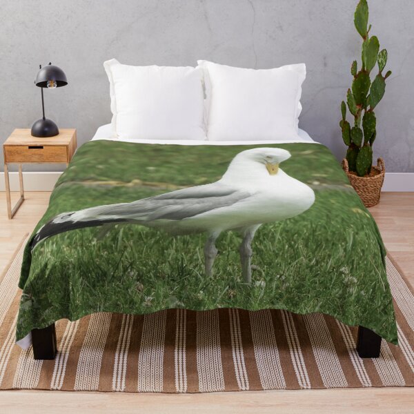 Item preview, American Herring Gull Preening designed and sold by HematiteDesign.