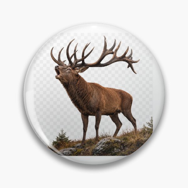 Item preview, Majestic Red Deer Stag During Rut | Wildlife Nature Art | Transparent Background designed and sold by JMDG Studio.