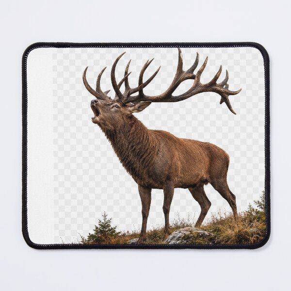 Item preview, Majestic Red Deer Stag During Rut | Wildlife Nature Art | Transparent Background designed and sold by JMDG Studio.