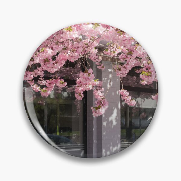 Item preview, Serene Cherry Blossoms over a Classic Park Bench designed and sold by asun5.