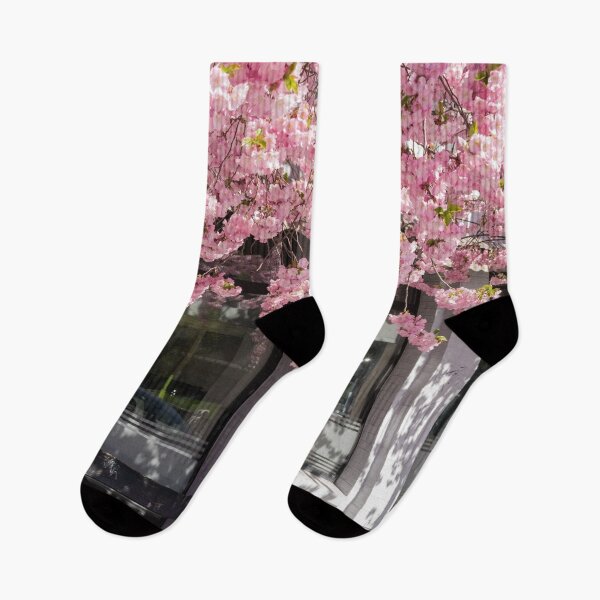Item preview, Serene Cherry Blossoms over a Classic Park Bench designed and sold by asun5.