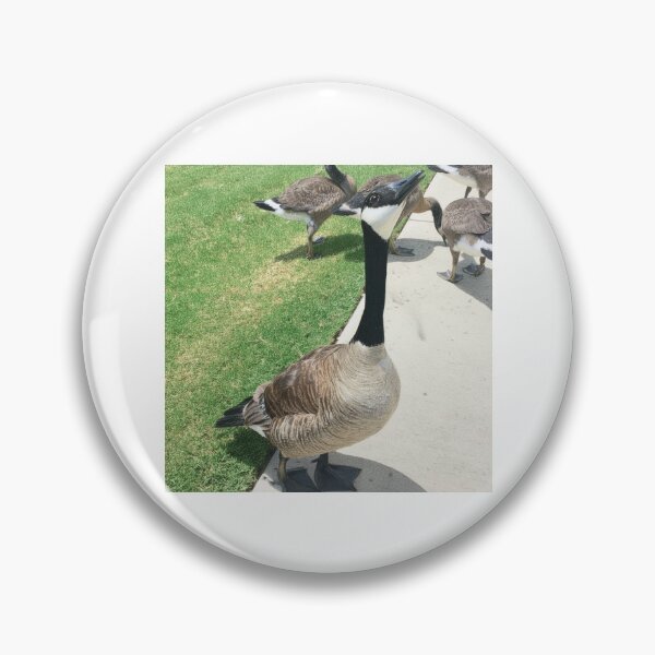 Item preview, Canada Geese Flock Real Photo Print designed and sold by KaleChub.