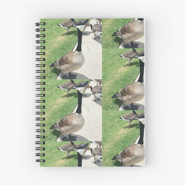 Item preview, Canada Geese Flock Real Photo Print designed and sold by KaleChub.