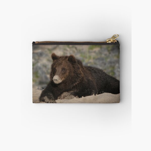Item preview, Grizzly Bear With A Sandy Nose designed and sold by rawshutterbug.