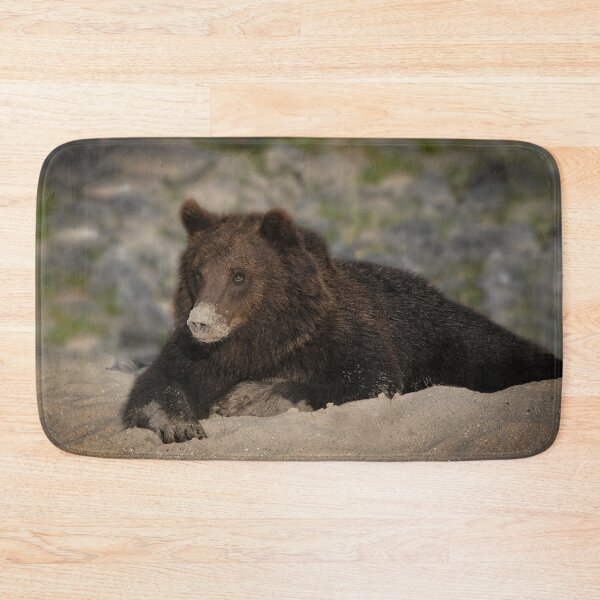 Item preview, Grizzly Bear With A Sandy Nose designed and sold by rawshutterbug.