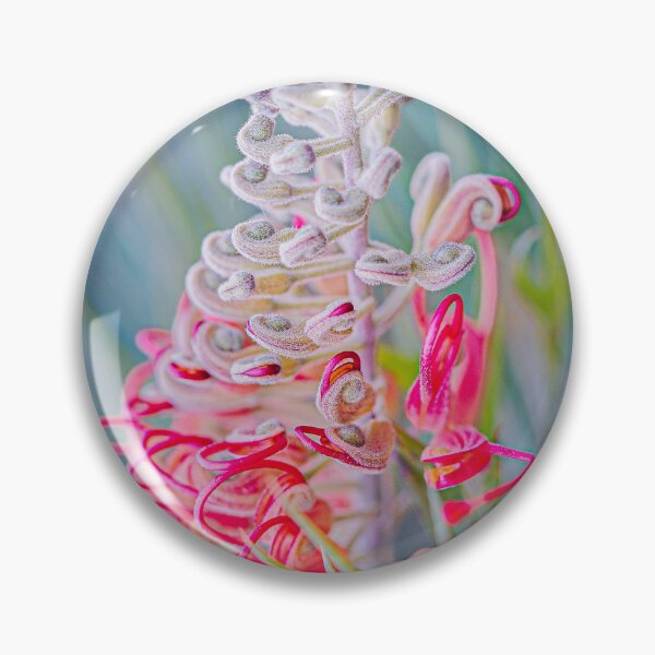 Item preview, Grevillea Spider Blossom Macro – Fine Art Canvas Print designed and sold by MinzMarchStudio.