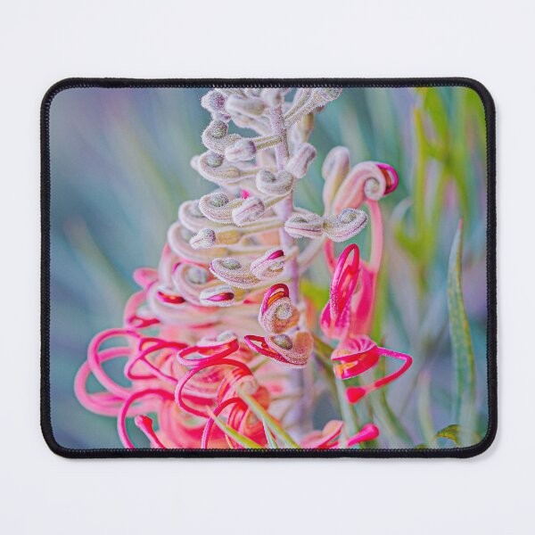 Item preview, Grevillea Spider Blossom Macro – Fine Art Canvas Print designed and sold by MinzMarchStudio.