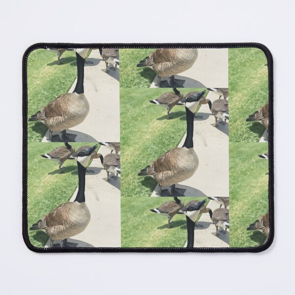 Item preview, Canada Geese Watercolor Art Print designed and sold by KaleChub.
