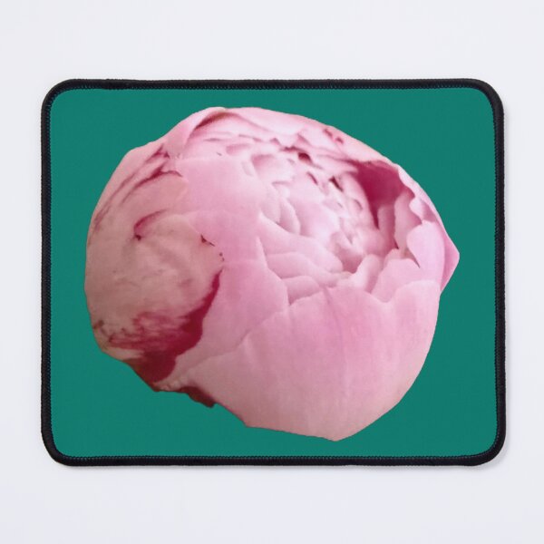 Item preview, Luxe Statement Pink Peony Bud with Crimson Detail designed and sold by BalkanBloomArt.