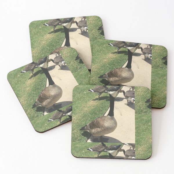 Item preview, Canada Geese Flock Real Photo Print designed and sold by KaleChub.