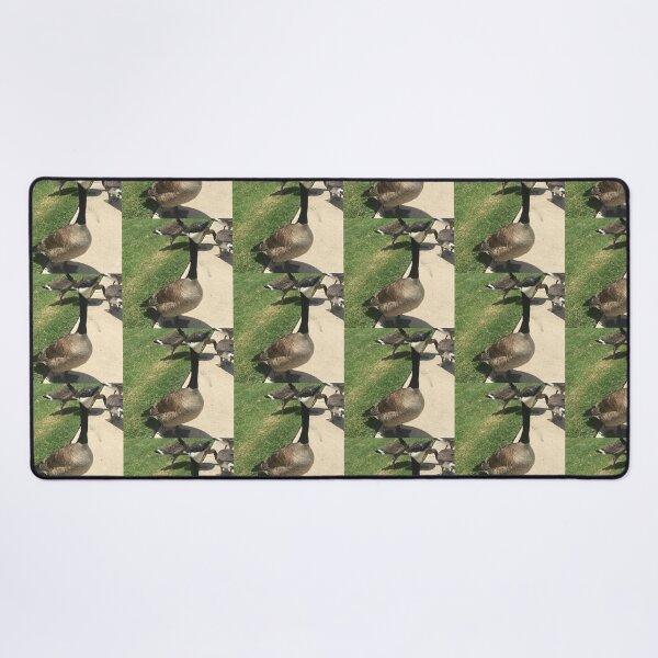 Item preview, Canada Geese Flock Real Photo Print designed and sold by KaleChub.