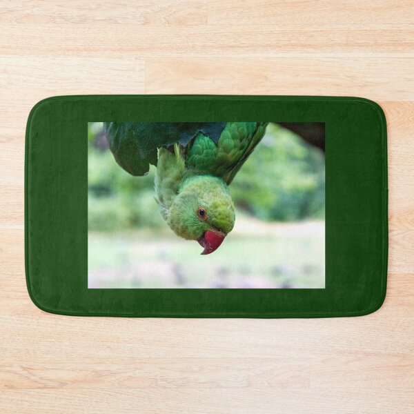 Item preview, Upside down parakeet photograph designed and sold by Natimo-Studio.