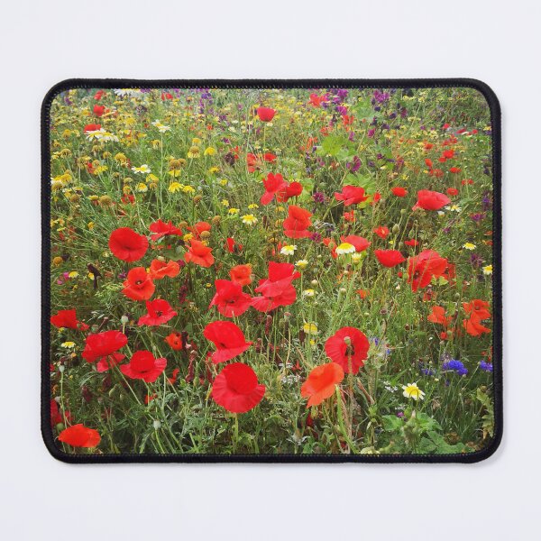 Artikelvorschau, Wildblumen mit roten Mohnblumen auf einer Wiese entworfen und verkauft von Elwira Studio.