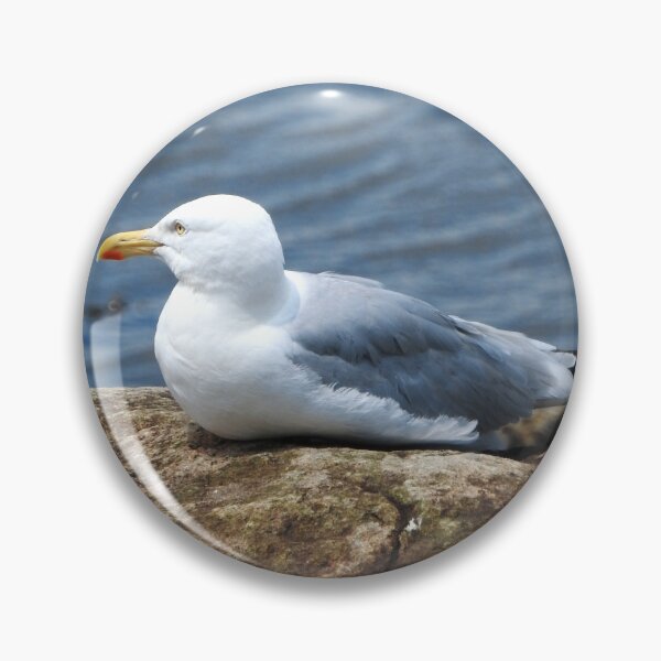 Item preview, American Herring Gull on Rock designed and sold by HematiteDesign.