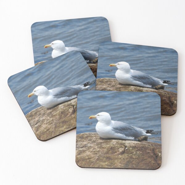 Item preview, American Herring Gull on Rock designed and sold by HematiteDesign.