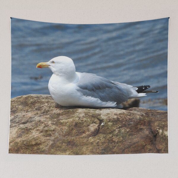 Item preview, American Herring Gull on Rock designed and sold by HematiteDesign.