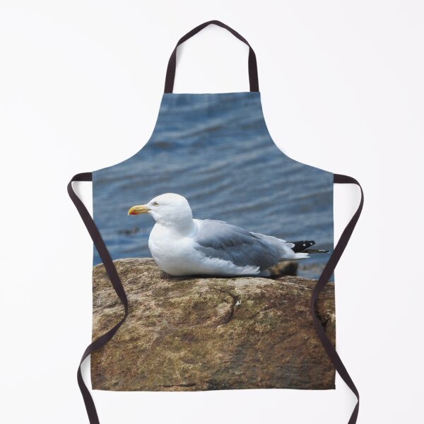 Item preview, American Herring Gull on Rock designed and sold by HematiteDesign.