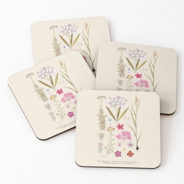 Item preview, Five Flowering Species Antique Botanical Illustration designed and sold by Antiquated Art.