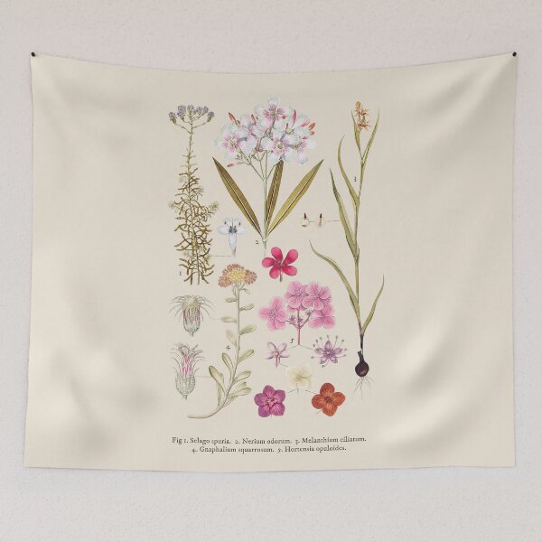 Item preview, Five Flowering Species Antique Botanical Illustration designed and sold by Antiquated Art.