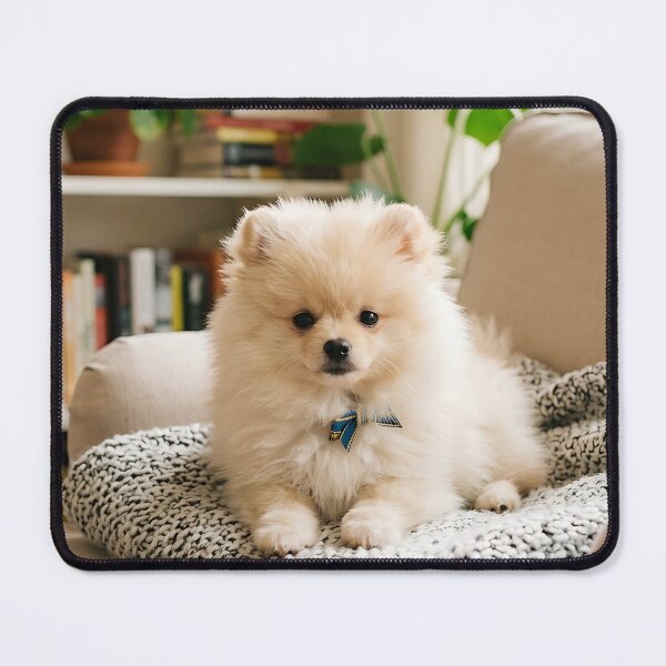 Item preview, Adorable Cute and Fluffy Pet designed and sold by wallpapersarts.