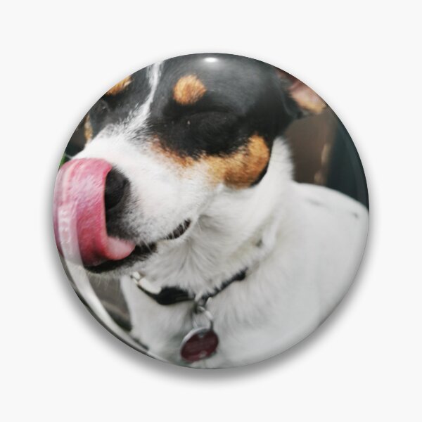 Artikelvorschau, Funny Dog entworfen und verkauft von Mindset_im_gepeack .