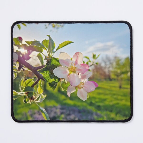 Item preview, sunny apple blossoms designed and sold by psychoshadow.