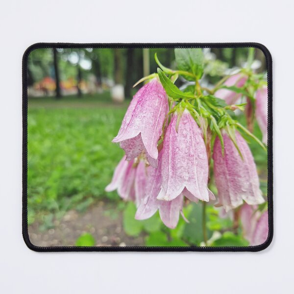 Item preview, pink spotted bellflowers designed and sold by psychoshadow.