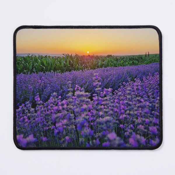 Item preview, Vibrant picturesque lavender field designed and sold by psychoshadow.