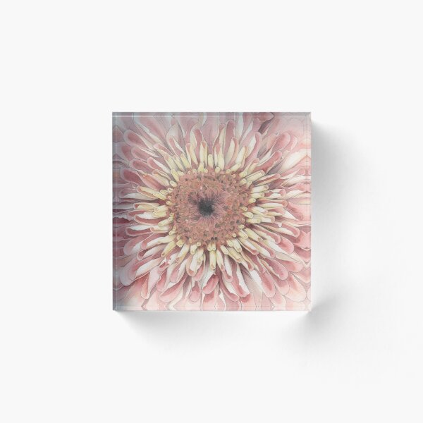 Item preview, Blush Zinnia in Full Bloom designed and sold by RdeB.