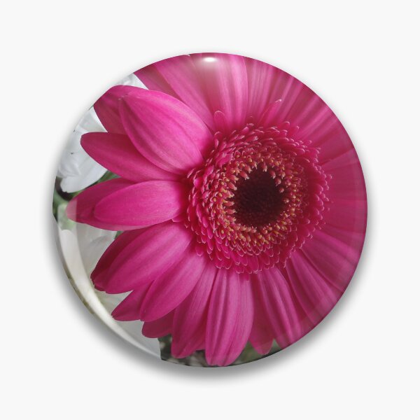 Item preview, Ramo floral con margaritas gerberas de color magenta vibrante designed and sold by Betulek.